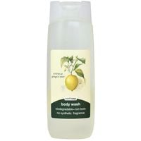 Earthsap Citrus & Ginger Body Wash